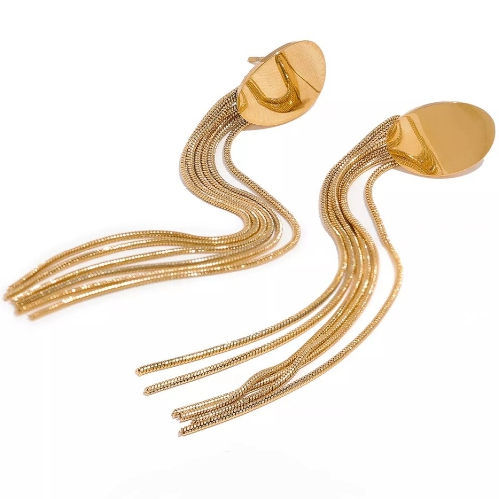 Amazing Long Tassel Earrings
